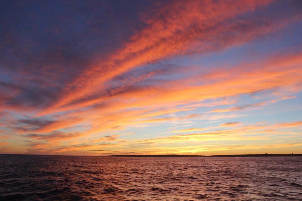 Sunset cruise from Long Wharf